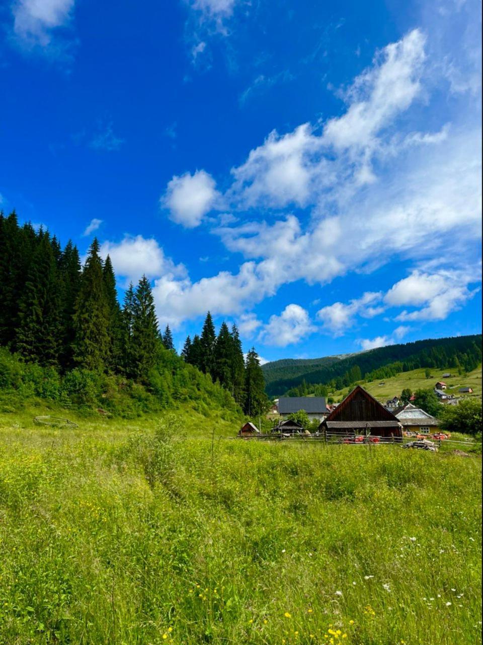 Girskiy Prutets Bukowel Exterior foto